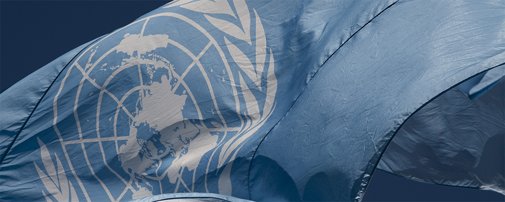 UN Flag UN Photo/Evan Schneider