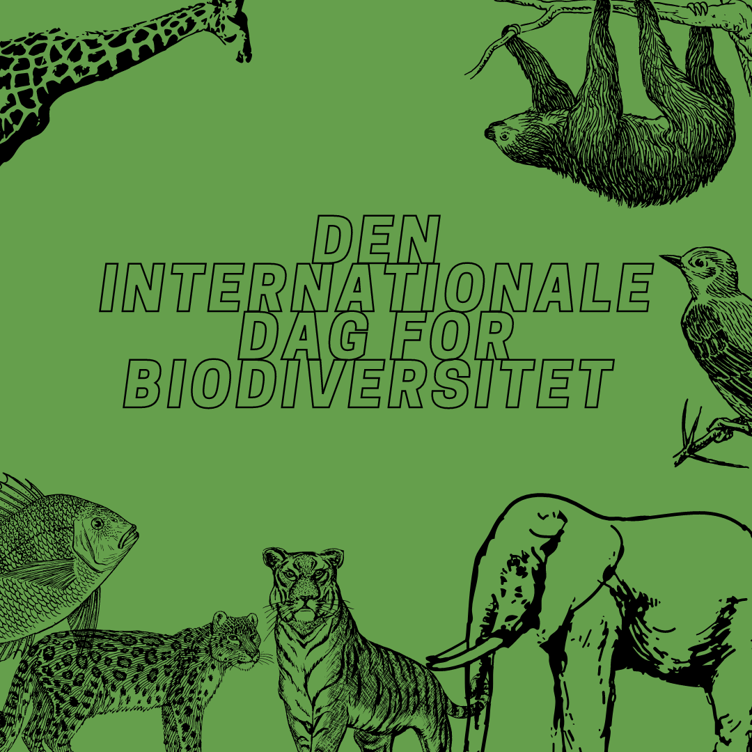 Den Internationale Dag For Biodiversitet